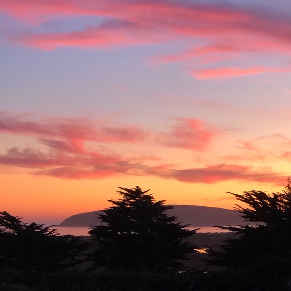 Meet your Posher, Vida - Picture 6 of 14